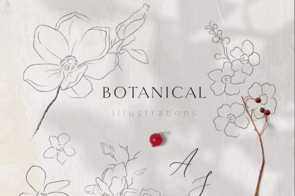Elevating Brand Aesthetics with Line Drawing Botanicals, Plants, and Brushes