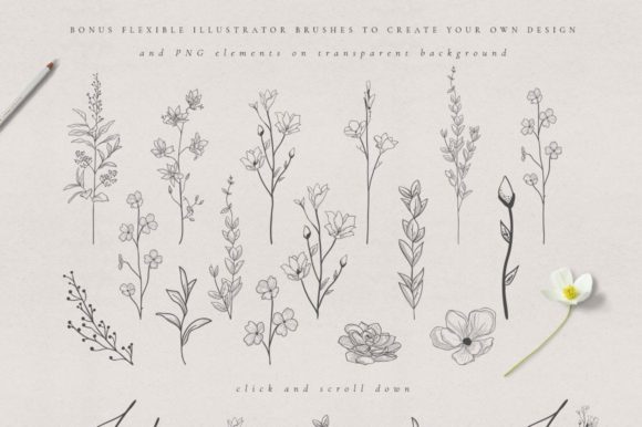 Illustrator Art Brushes Collection. Herb: A Practical Guide to Flexible Floral Design Resources