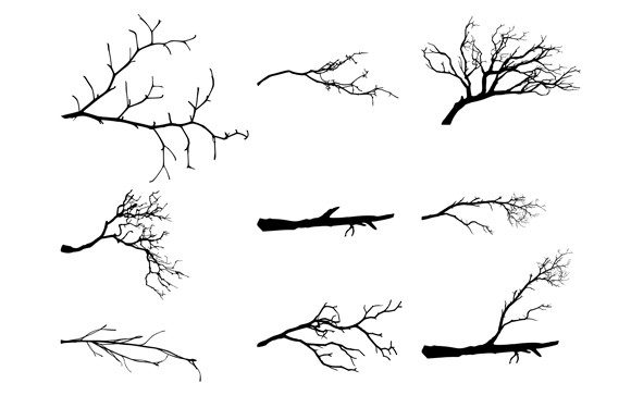 Set of Dry Tree Branches: Elevating Digital Design with Organic Textures